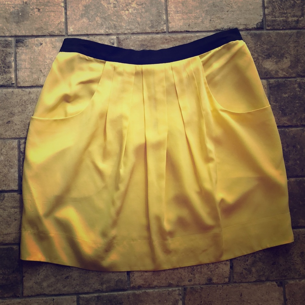 BCBG Maxaziria Skirt size 4